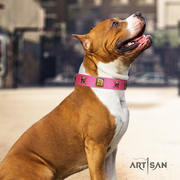 Amstaff easy wearing full grain natural leather dog collar for comfortable wearing