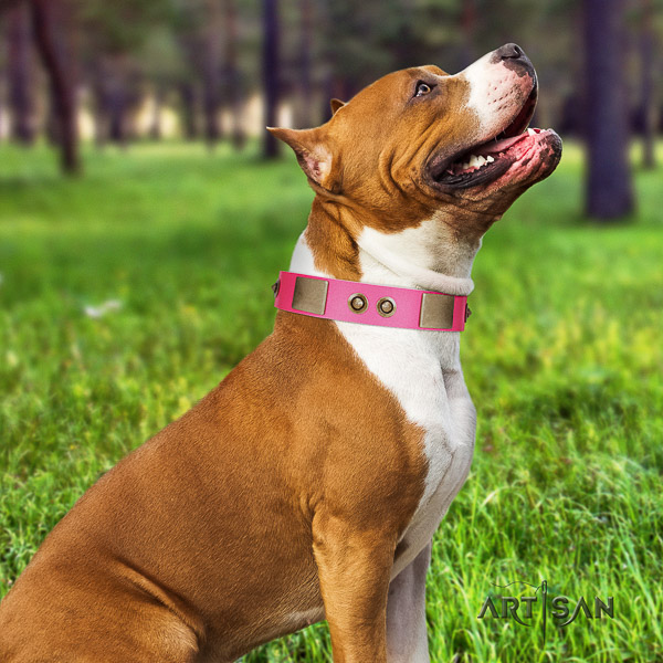 Amstaff exquisite natural genuine leather dog collar for easy wearing