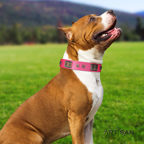 Amstaff easy wearing leather dog collar with studs
