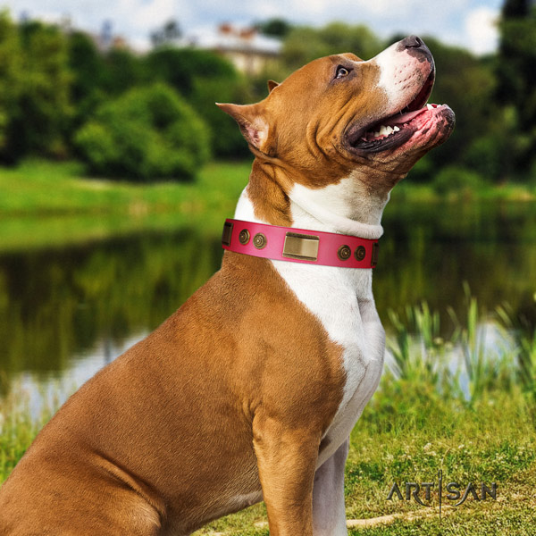Amstaff easy wearing leather dog collar with decorations