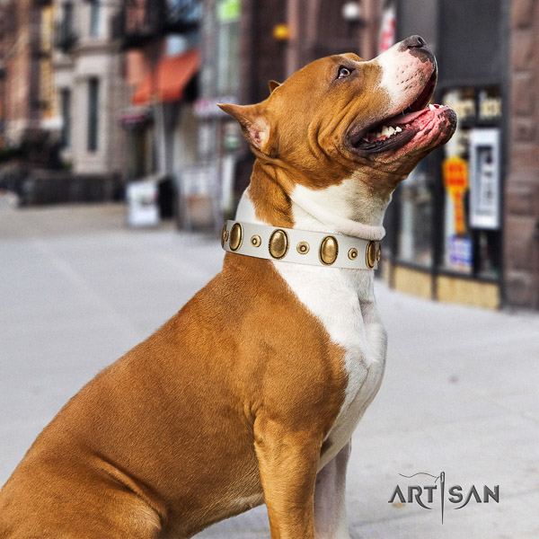 Amstaff adorned leather dog collar for everyday use