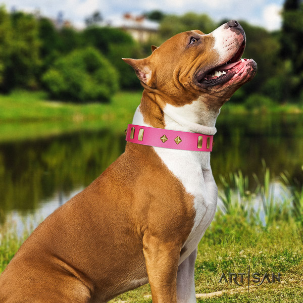 Amstaff easy adjustable genuine leather dog collar for handy use