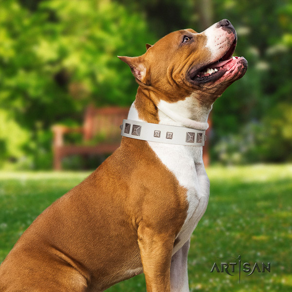 Amstaff unusual full grain leather dog collar for stylish walking