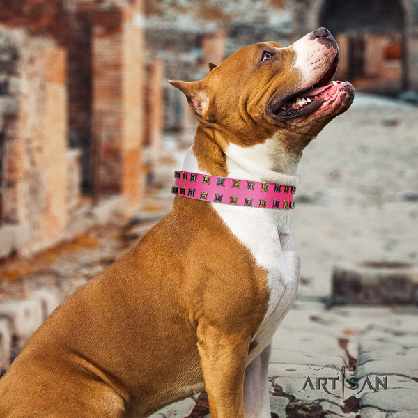 Amstaff unique leather dog collar for handy use