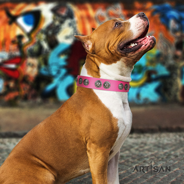 Amstaff impressive full grain leather dog collar for handy use