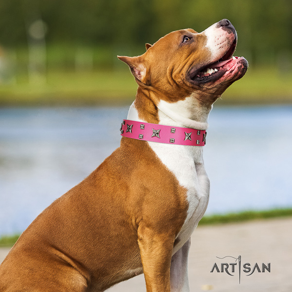 Amstaff handcrafted natural genuine leather dog collar for comfy wearing