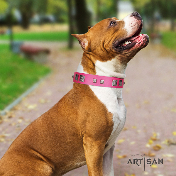 Amstaff unusual full grain genuine leather dog collar for walking