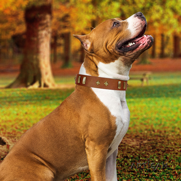 Amstaff unusual full grain genuine leather dog collar for handy use