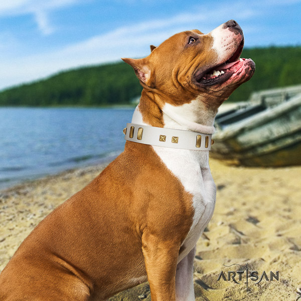 Amstaff fashionable full grain leather dog collar for comfy wearing