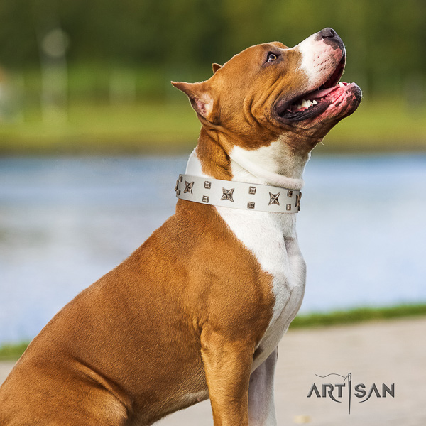 Amstaff unique natural genuine leather dog collar for comfortable wearing