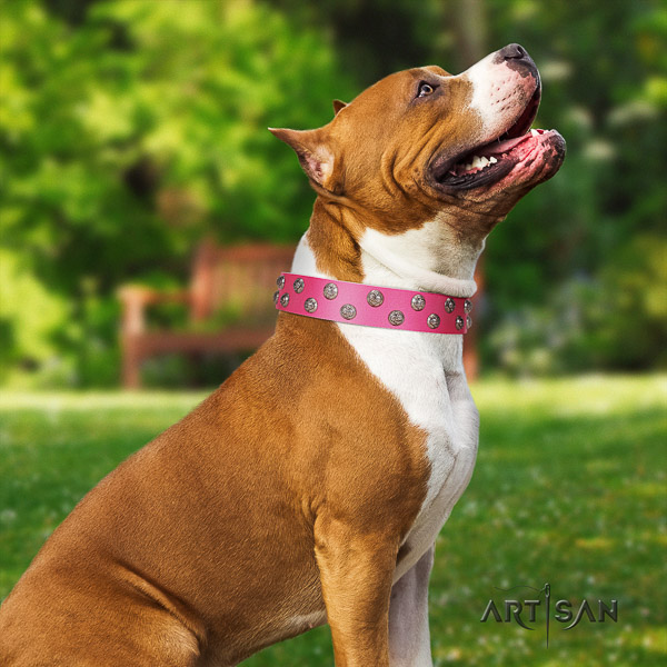 Amstaff handmade full grain natural leather dog collar for easy wearing
