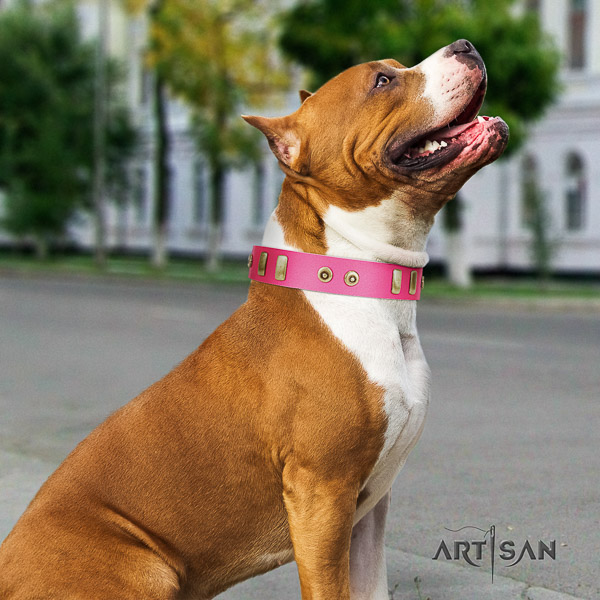Amstaff embellished full grain leather dog collar for easy wearing