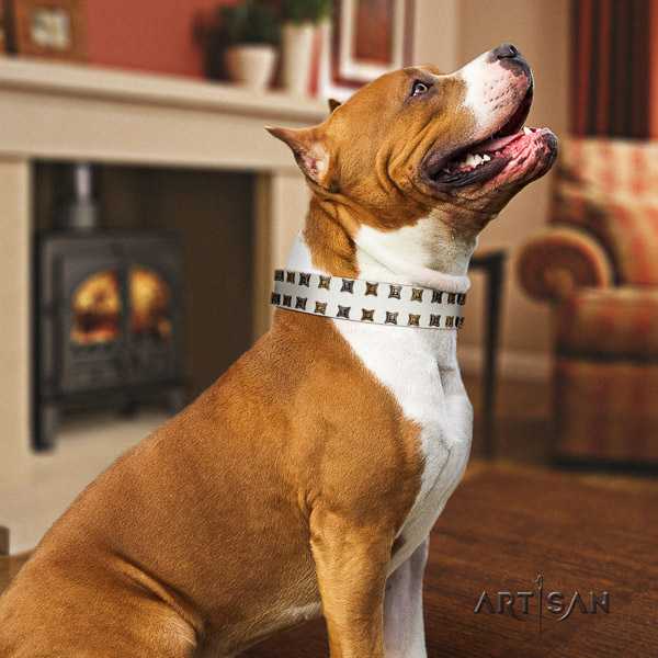 Amstaff easy to adjust genuine leather dog collar for fancy walking