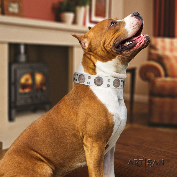 Amstaff exquisite leather dog collar for comfy wearing