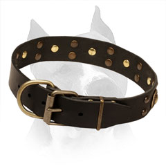 Collar Amstaff Leather Brass Buckle