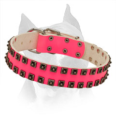 Leather Pink Collar Amstaff Gold-like Studs