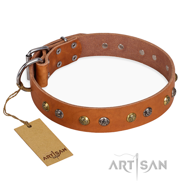 Everyday use top quality dog collar with rust resistant traditional buckle