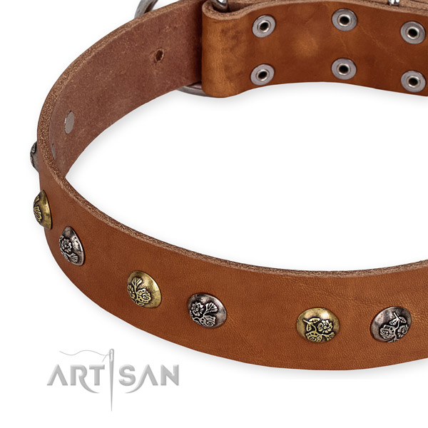 Full grain leather dog collar with remarkable rust-proof studs