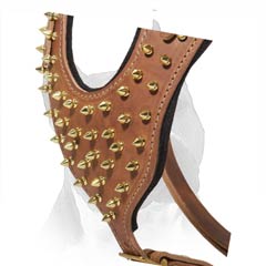 Strong Dog Harness With Rust Resistant Fitting