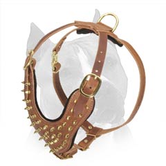 Amstaff Dog Harness With Y-Shaped Felt Padded Chest  Plate
