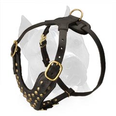 Easy-To-Put-On Amstaff Dog Harness
