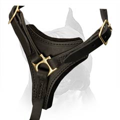 Fantastically Durable Amstaff Dog Harness