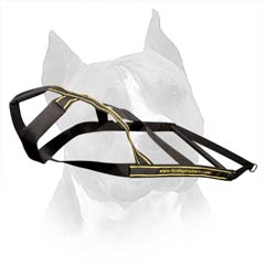 Amstaff Nylon Harness for Easy Sledding and Skijoring