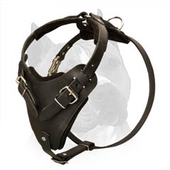 Well Padded Leather Amstaff Dog Harness 