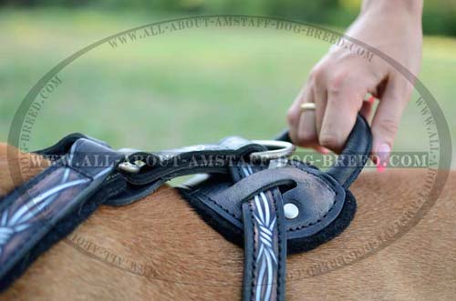 Specific Dog Harness With Nickel Plated Steel Fittings