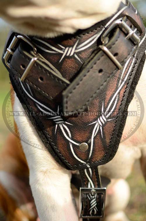 Breast Plate with Barbed Wire Painting