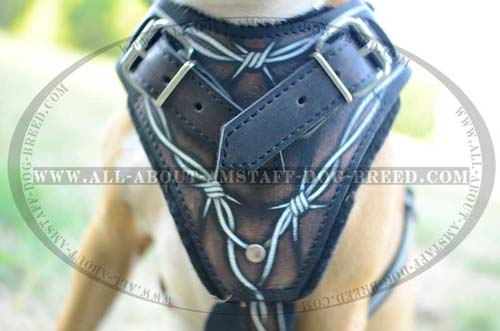 Chest Plate Hand Painted in Unusual Ornament