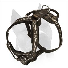 Handcrafted Amstaff Dog Harness With Water-Resistant  Quality Paint