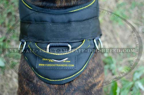 Durable Handle On Back Plate for Amstaff Better Control