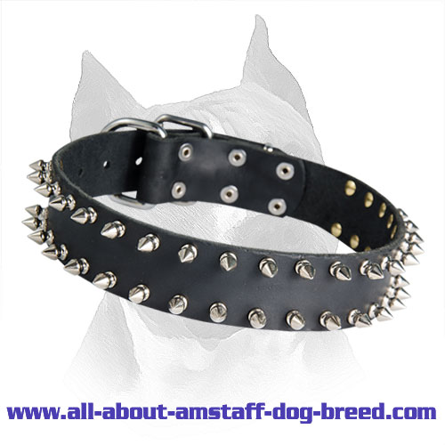 Amstaff Breed Leather 2 Rows Spiked Dog Collar