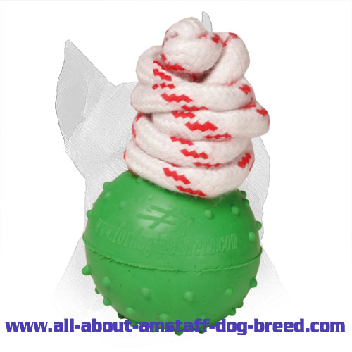 'Joy & Train' Ribbed Rubber Amstaff Ball for Water Activities - Small