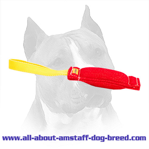 Comfortable Handled Amstaff Bite Tug Made of French Linen