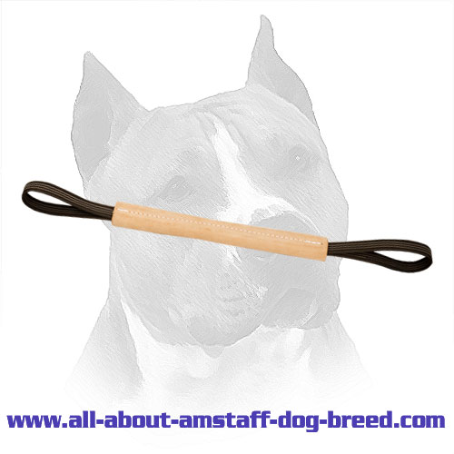 Leather Amstaff Pocket Toy With Two Handles