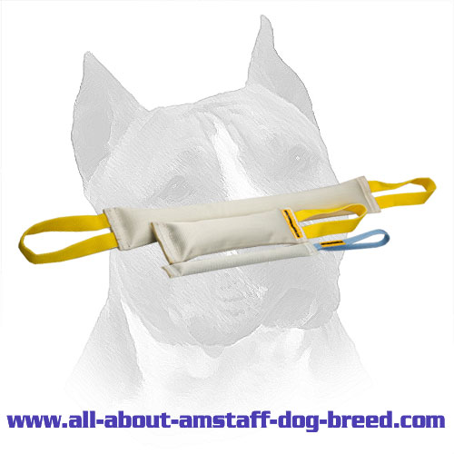 Fire Hose Bite Tugs Of Amstaff Training Set