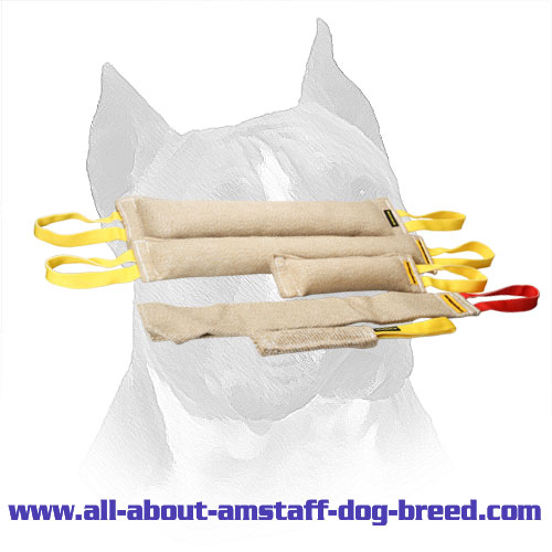 Adult Amstaff Training Set With Bite Rag For Free