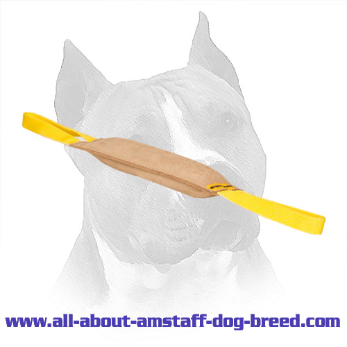 Leather Amstaff Bite Tug with 2 Nylon Handles