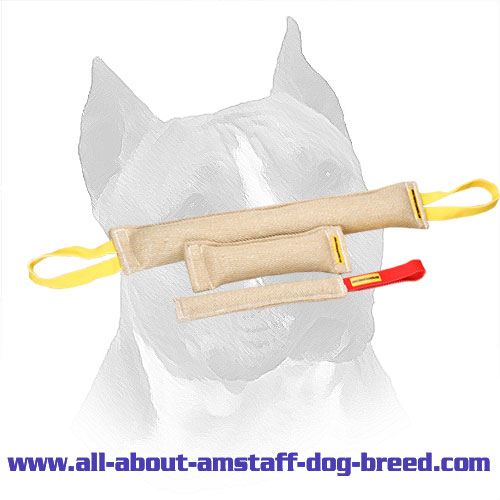 Three Reliable Jute Amstaff Bite Tugs Of Training Set