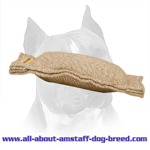 Small Jute Amstaff Training Tug Without Handles