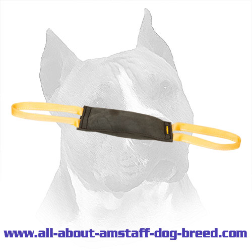 'Firm Bite' Leather Young Amstaff Bite Training Tug