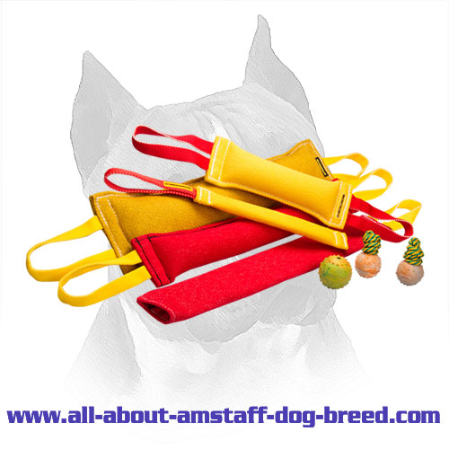 French Linen Amstaff Training Set and 3 Amazing Gifts for Free
