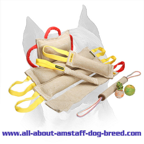Purchase Amstaff Bite Training Set and Get 3 Amazing Gifts