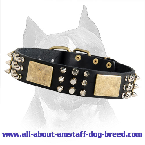 Amstaff Leather Dog Collar With Plates, Spikes And Studs