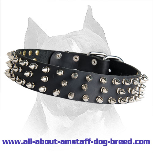 3 Rows Spiked Amstaff Leather Dog Collar For Walking In Style