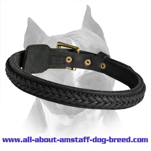 Handcrafted Leather Dog Collar With Braids