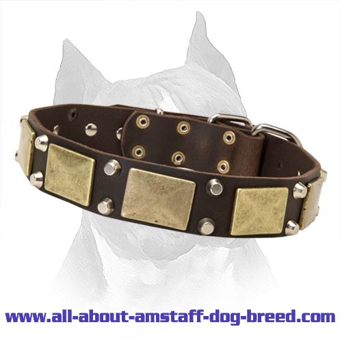 Fantastically Decorated With Plates And Cones Leather Dog Collar For Amstaff Dog Breed