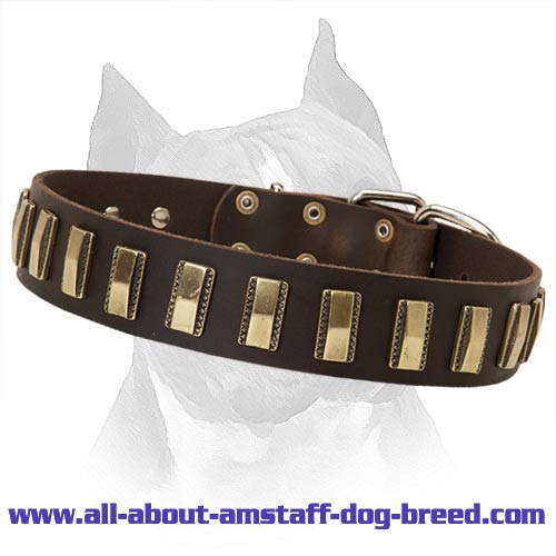 Ornament Dog Collar Made Of Leather For Amstaff